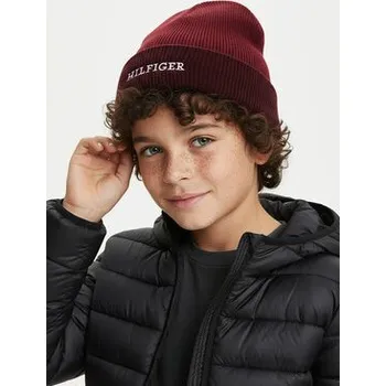 Pokrývka hlavy Čepice Tommy Hilfiger AU0AU01930 Červená L_XL