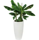 Obal Pure Soft High průměr 35 cm, výška 62 cm, bílá