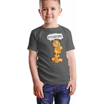 Chlapecké tričko Garfield tričko, I'm Not Always Right Dark Grey, dětské XS velikost XS (4 roky)
