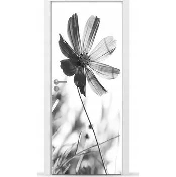 Fototapeta Fólie/Nálepka na VNĚJŠÍ dveře NÁBYTKOVÁ samolepicí SNADNÁ APLIKACE