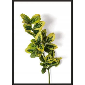 Obraz OBRAZ PLAKÁT V RÁMU 33x43 cm Listy P877