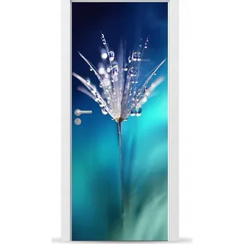 Fototapeta Fólie/Nálepka na VNĚJŠÍ dveře NÁBYTKOVÁ samolepicí SNADNÁ APLIKACE