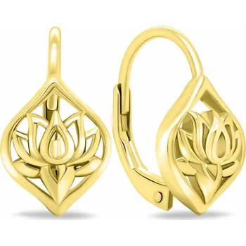 Náušnice Brilio Silver Krásné pozlacené visací náušnice EA700Y + 2 měsíce na vrácení zboží