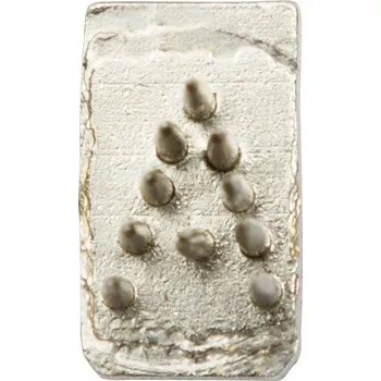 Chov hospodářského zvířete Tetovací písmeno, špice, 7mm, jednotlivé varianta J