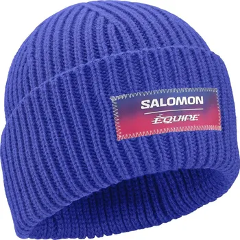 Čepice Salomon Equipe Snow Beanie LC2851000 - surf the web UNI