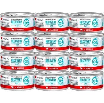 Krmivo pro kočku Disugual mokré krmivo pro kočky Veterinární RECOVERY Jehněčí (dospělí) 12x85g