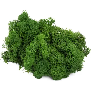 Lišejník (Balení 500g)