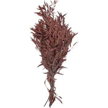 Nicoly Red - červená