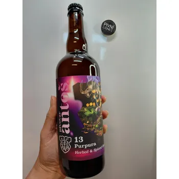 Pivo Antoš Purpura 13°/5,8% 0,7l