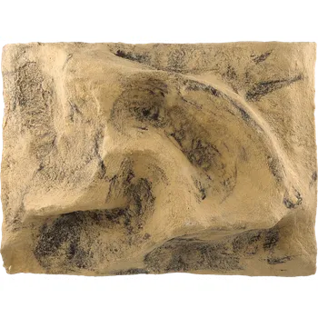 Pozadí Repti Planet do terária 40,5×55,5×12cm