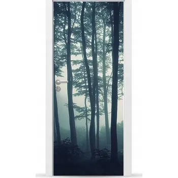 Fototapeta Fólie/Nálepka na VNĚJŠÍ dveře NÁBYTKOVÁ samolepicí SNADNÁ APLIKACE