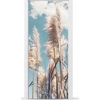 Fototapeta Fólie/Nálepka na VNĚJŠÍ dveře NÁBYTKOVÁ samolepicí SNADNÁ APLIKACE