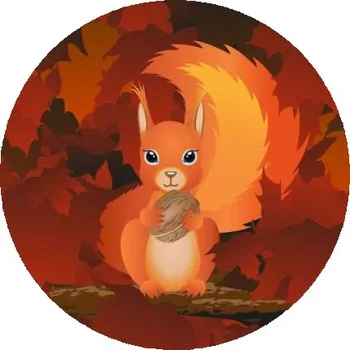 Dekorativní magnet Magnetka 65x65mm ve tvaru kruhu - veverka na větvi