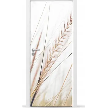 Fototapeta Fólie/Nálepka na VNĚJŠÍ dveře NÁBYTKOVÁ samolepicí SNADNÁ APLIKACE