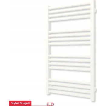 Radiátor Koupelnový radiátor teplovodní Terma 388 W 500 x 900 mm bílý