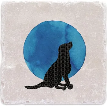 Digitální kompakt Mramorový tácek - Pes