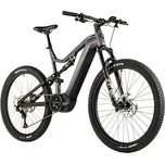 Leader Fox ARGUS 29" 2024 Grey - vel. L Šedá