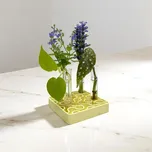 Plantbee Sada na množení rostlin Lumia 5ks fialová