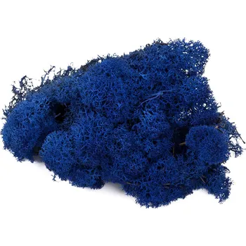 Lišejník (Balení 500g)