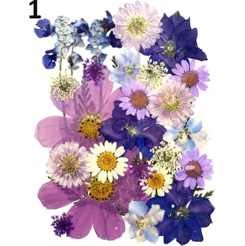 Sušené a lisované květiny do pryskyřice „A“ Druh: 1