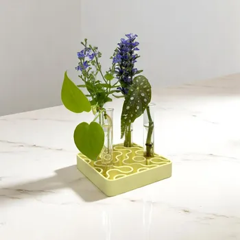 PlantBee Sada na množení rostlin Lumia 5ks červená