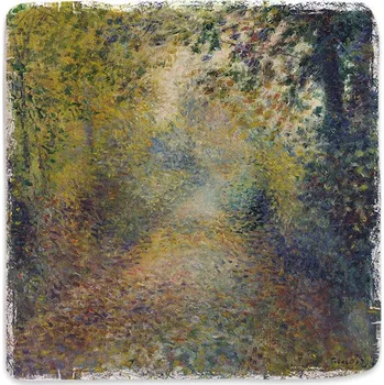 Digitální kompakt Mramorový tácek - V lese