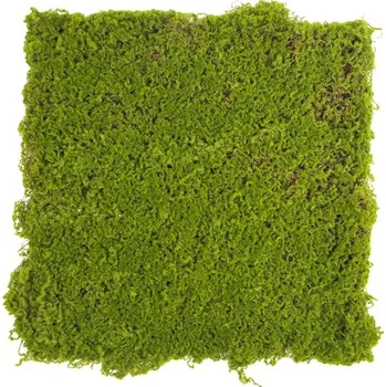 umělý živý plot Moss gray crooked, dílec 50 x 50 cm (Realistická imitace mechu - uzavřený pěnový rastr)
