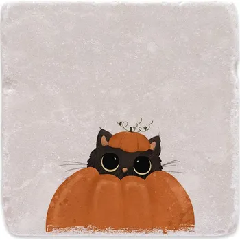 Digitální fotoaparát Mramorový tácek - Pumpkin cat