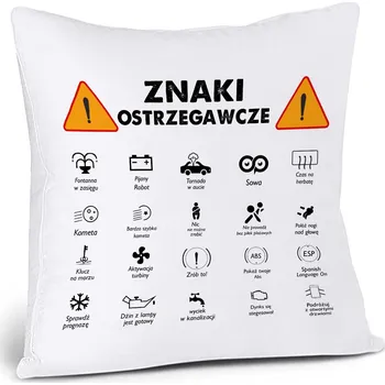 Polštář Polštář s motivem filmu RICK AND MORTY 40 x 40 cm