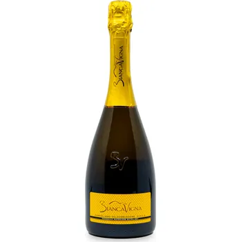 BiancaVigna | Prosecco di Conegliano Valdobbiadene DOCG superiore millesimato, Extra Dry| 2022 | 0,75 l