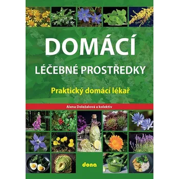Domácí léčebné prostředky – Praktický domácí lékař - Doležalová Alena