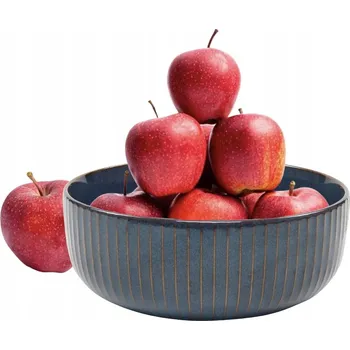 Talíř Talíř MPLCo PISA 20 cm