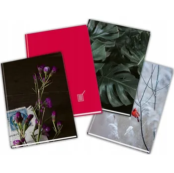 Zápisník PAPÍRNY BRNO záznamní kniha A5 linkovaná, 144 listů