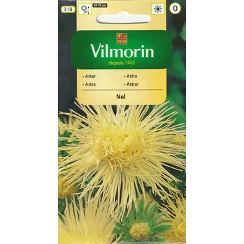 Semeno Astra čínská jehlicovitá Nel (žlutá) 10/2025