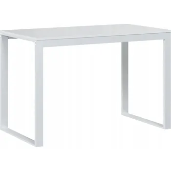 Psací stůl Počítačový stůl z dřevotřísky a kovu, bílý, 110x60x73 cm