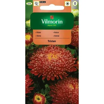 Semeno Astra čínská knížecí Tristan (červená) 10/2025