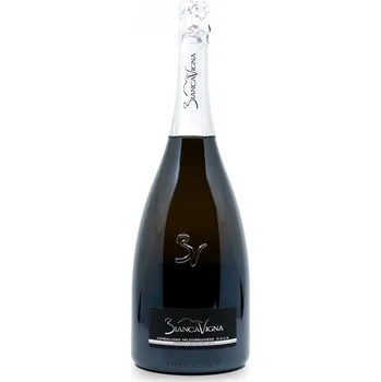 BiancaVigna | Prosecco di Conegliano Valdobbiadene DOCG superiore millesimato, Brut| 2021 | 0,75 l Ročník: 2024, Objem: 0,75 l