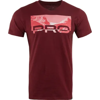 Pánské tričko Alpine Pro Geter Pánské triko MTSA873 485 L