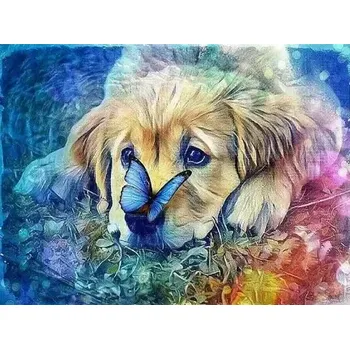Diamantové malování Diamantové malování/Huacan - Retrívr s motýlem na čumáčku