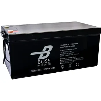 Trakční baterie Trakční baterie BOSS Deep Cycle GEL 12V 250Ah 520x268x220/225 M8 1200 cyklů (Gelová trakční cyklická průmyslová baterie )