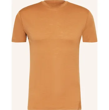 Pánské tričko Icebreaker Pánské Tričko Merinofine™ Ace Z Merino Vlny,...