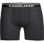 Icebreaker Men's Anatomica Boxers - jet heather XL