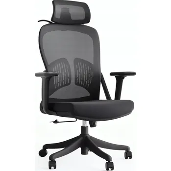 BOSTE ERGONOMICKÁ OTOČNÁ KANCELÁŘSKÁ ŽIDLE K PSACÍMU STOLU POHODLNÁ NASTAVITELNÁ