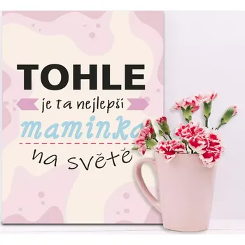 Plechová cedule Sablio Dárková cedulka Tohle je ta nejlepší maminka na světě: 30x40 cm