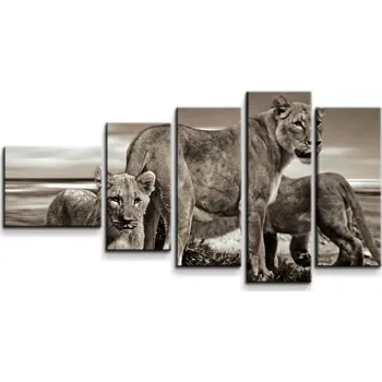 Obraz Sablio Obraz - 5-dílný Lvice a lvíčata - 100x60 cm