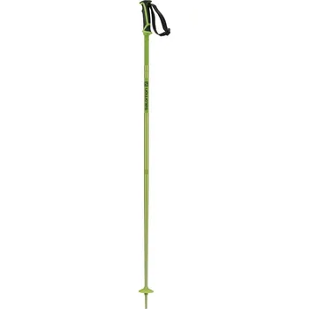 Sjezdové lyžování hole Salomon Arctic green Velikost: 110cm
