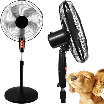 Domácí ventilátor Podlahový ventilátor Sternhoff SDH217 černý