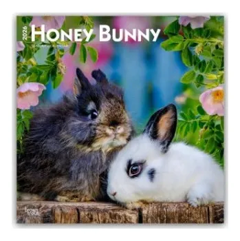 Diář Honey Bunny - Süße Häschen 2026 - 16-Monatskalender (EN)