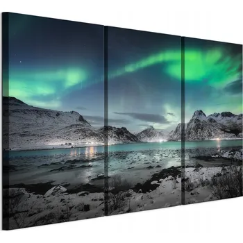 Obraz LUMASOUL obraz na plátně na zeď 120x80 Motiv Příroda Elektrický