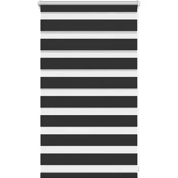 Roleta Zatemňovací/propouštějící světlo roleta 50x100 cm, Černá, 100% Polyester